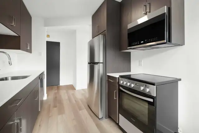 SPACIOUS Renovated 1 Bedroom Apartment! Available June 1st! - Photo 8