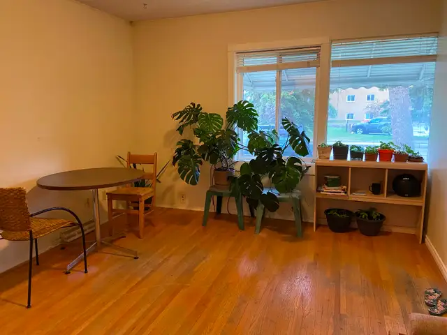 Available now c-train university Mall close downtown one room - Photo 3