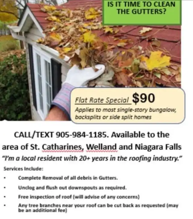 Gutter Cleaning / Eavestrough Cleaning