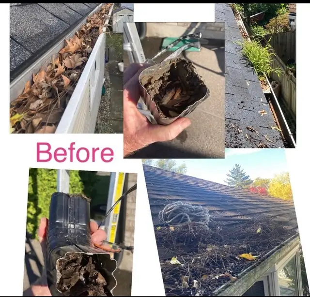 Gutter Cleaning / Eavestrough Cleaning - Photo 2