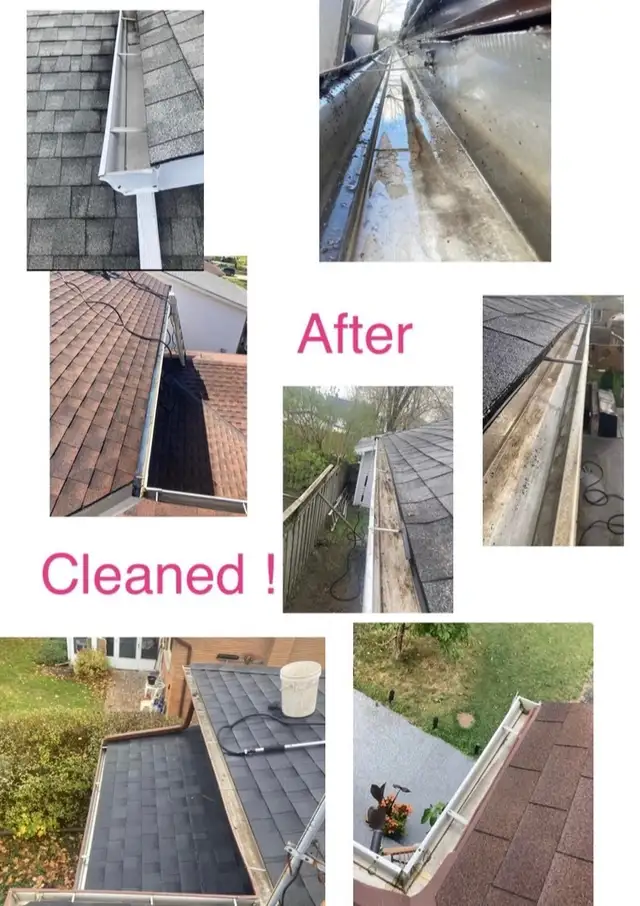 Gutter Cleaning / Eavestrough Cleaning - Photo 3