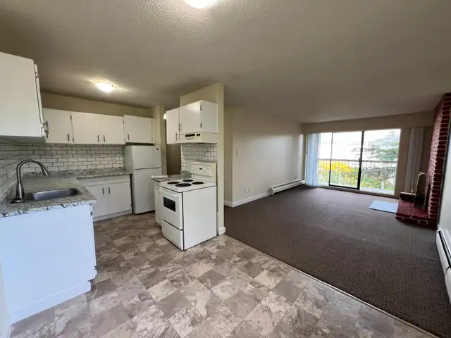 Renovated 2 bed 2 bath available now at Delta West! - Photo 2