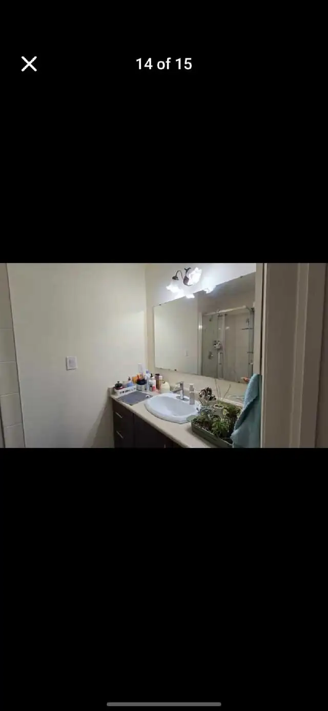 Private Bedroom available in a 3 bedroom house. - Photo 5