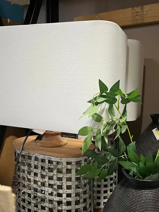 FULLTIME CAREGIVER IS REQUIRED IN WESTEND EDMONYON