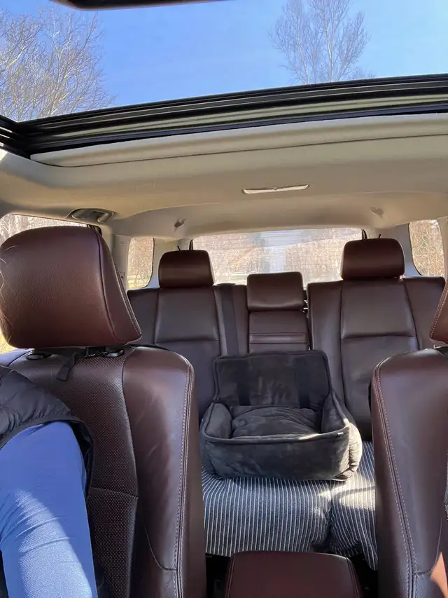 2016 Toyota 4-Runner Limited Red Wood Edition - Photo 7