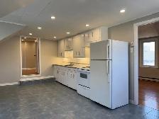 Bourget 1 Bedroom Apartment For Rent   Den All Inclusive