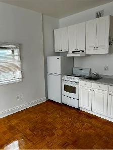 Downtown Toronto Bachelor Apartment for Rent
