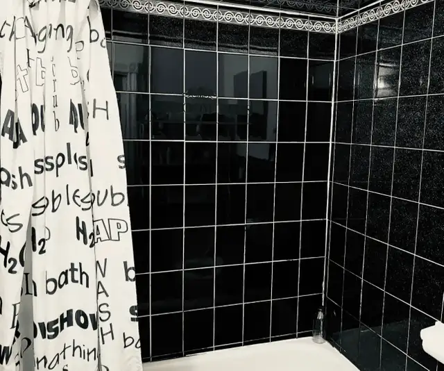 Downtown Toronto Bachelor Apartment for Rent - Photo 4