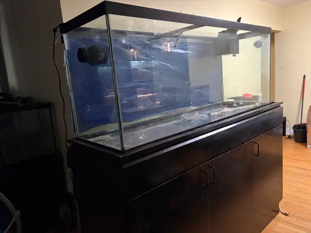 Large Aquarium with Cabinet Stand   Wave Maker