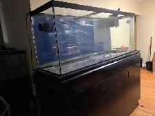 Large Aquarium with Cabinet Stand   Wave Maker