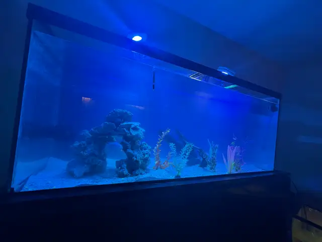 Large Aquarium with Cabinet Stand   Wave Maker - Photo 5