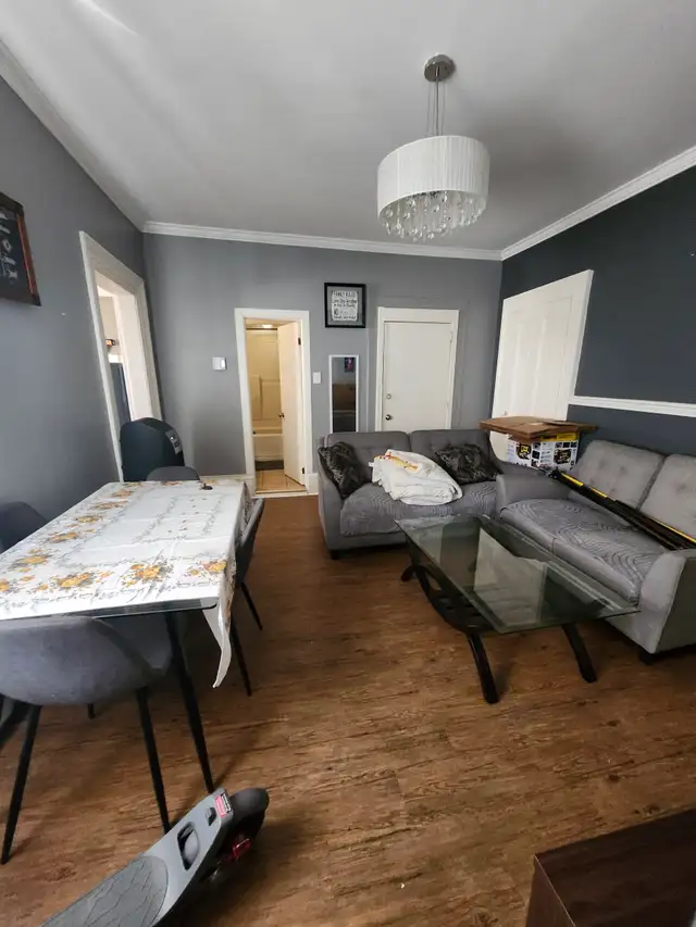 40 Cliff St #4 - Updated 3BR, Central Location, W/D in unit - Photo 3