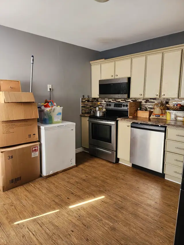 40 Cliff St #4 - Updated 3BR, Central Location, W/D in unit - Photo 4