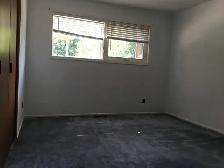 20 cardill house rental near UW & WLU, 10 mins walking - Photo 15