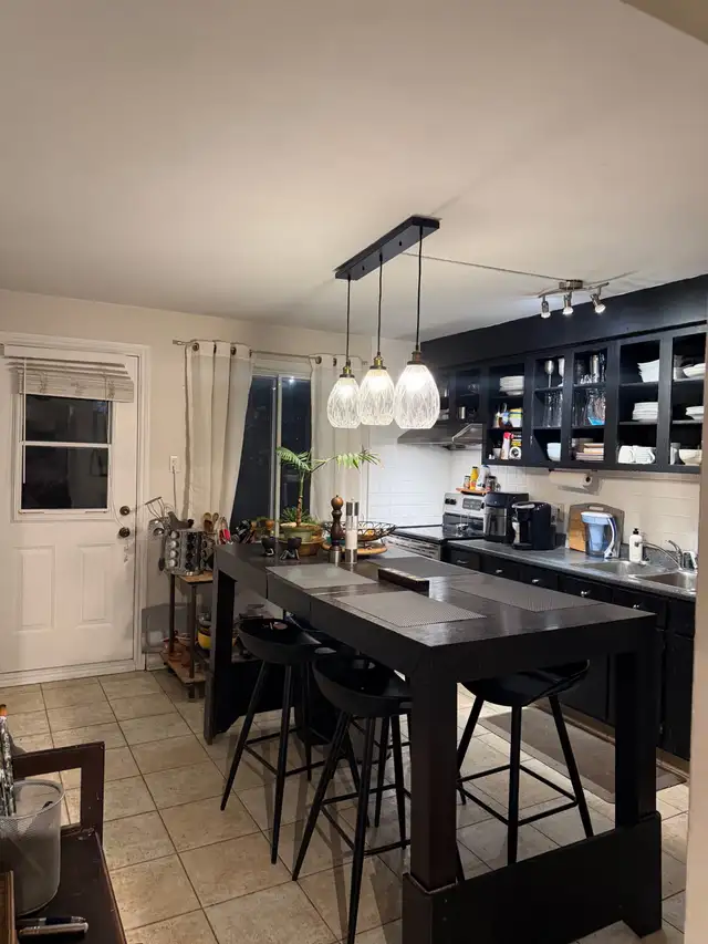 Grand 5 1/2 Quartier Rosemont