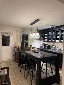 Grand 5 1/2 Quartier Rosemont