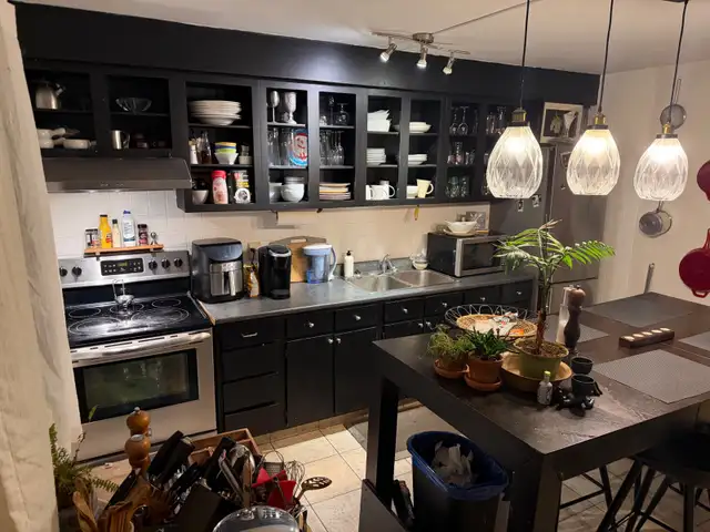 Grand 5 1/2 Quartier Rosemont - Photo 2