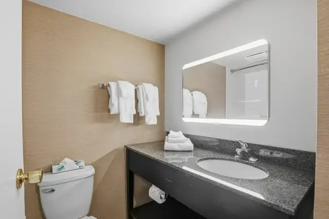 Furnished Bachelor, with a POOL View and Fitness Center Access! - Photo 3