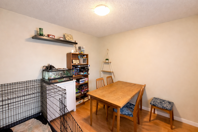 Ormsby Place 3 Bed 1.5 Bath Townhome For Rent - Photo 17