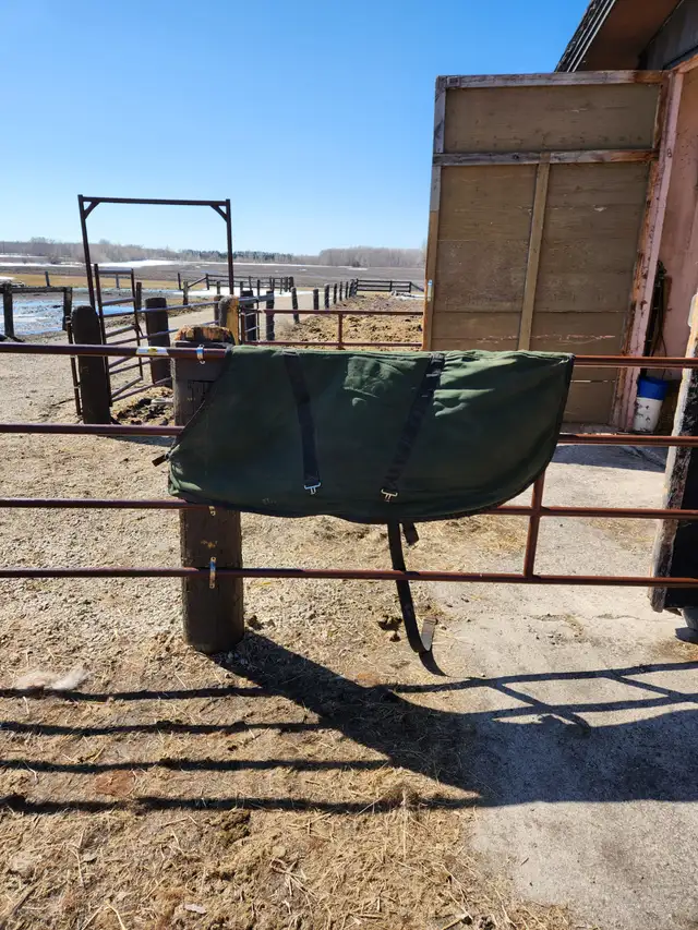 Draft Horse Accessories - Photo 5