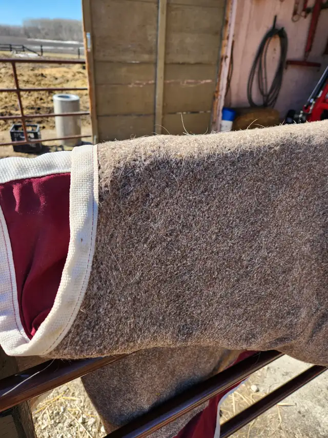 Draft Horse Accessories - Photo 6