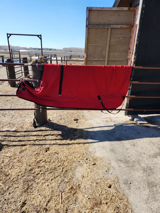 Draft Horse Accessories - Photo 9