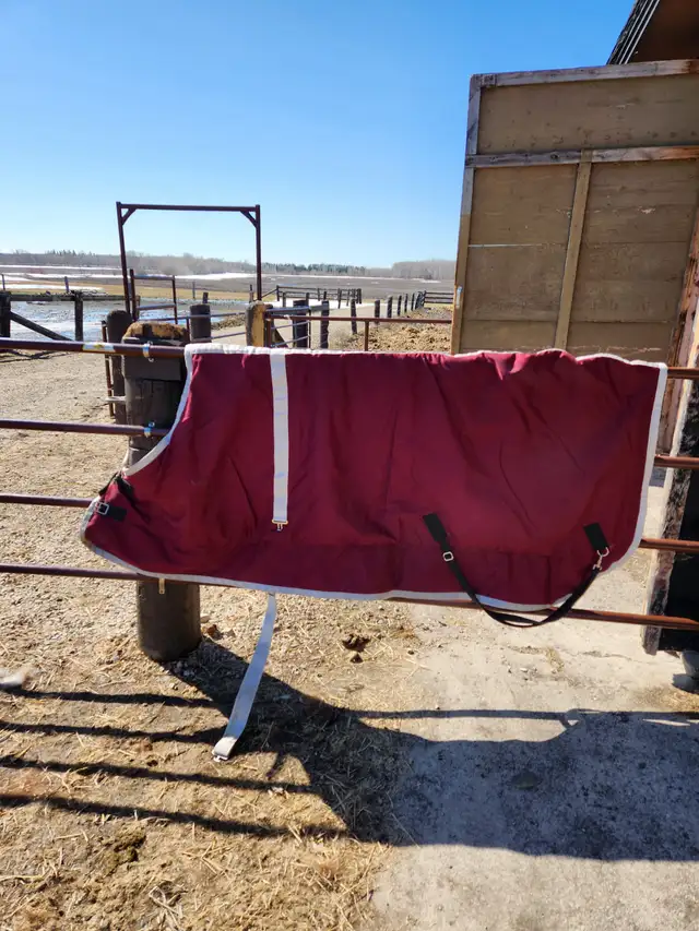 Draft Horse Accessories - Photo 10