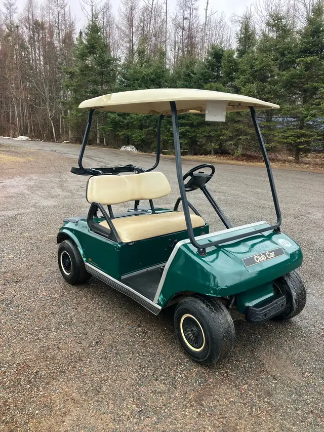 07 Clubcar DS Gas Golf Cart - Photo 2