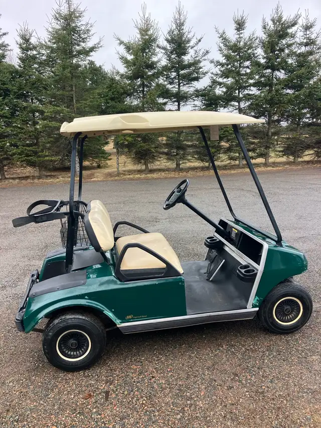 07 Clubcar DS Gas Golf Cart - Photo 3