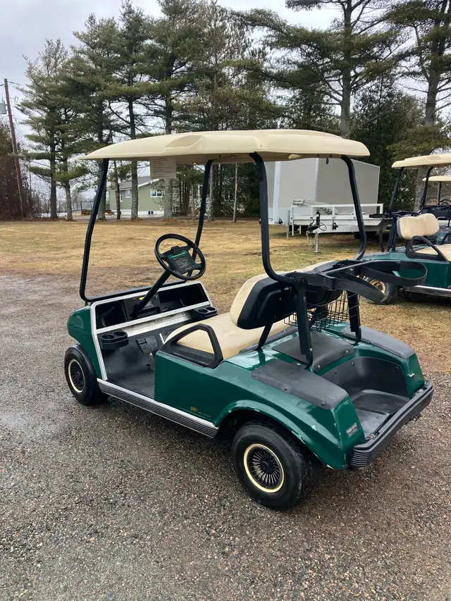 07 Clubcar DS Gas Golf Cart - Photo 5