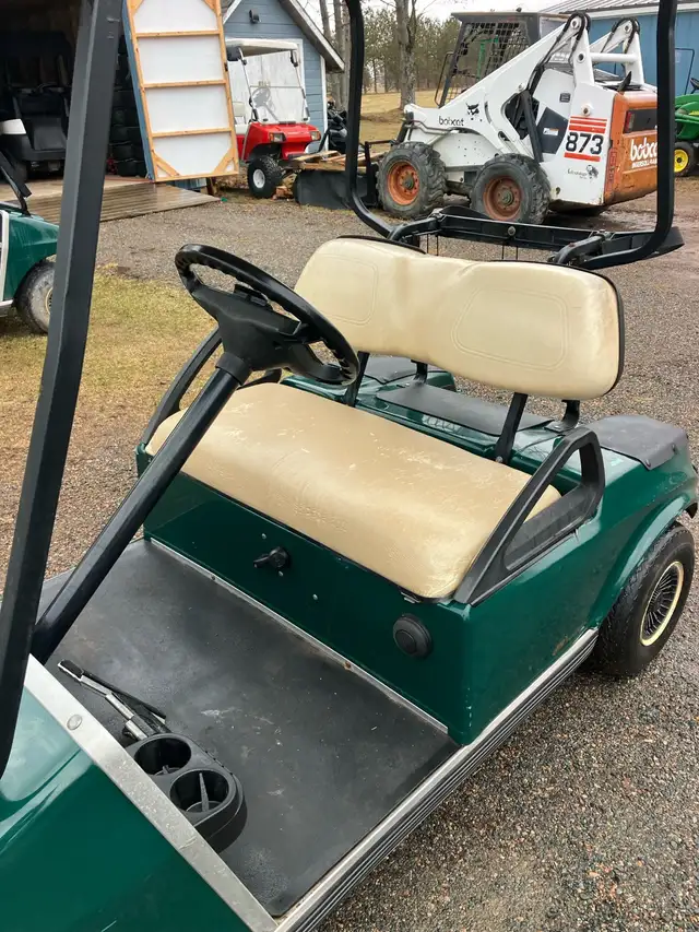 07 Clubcar DS Gas Golf Cart - Photo 7