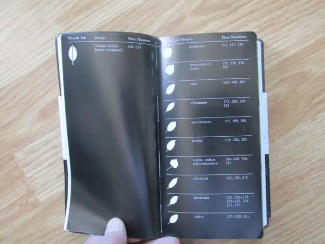 FIELD GUIDE TO NORTH AMAERICAN TREES by Elbert L. Little - 1992 - Photo 4