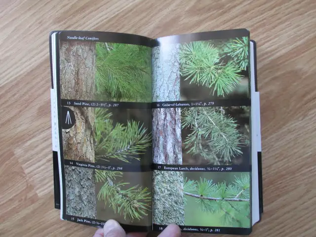 FIELD GUIDE TO NORTH AMAERICAN TREES by Elbert L. Little - 1992 - Photo 5