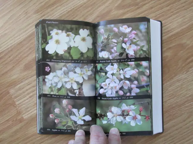 FIELD GUIDE TO NORTH AMAERICAN TREES by Elbert L. Little - 1992 - Photo 9