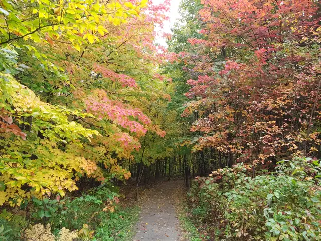 Lebourgneuf – Condo de 1112 pi² | 2 stationnements | Piscine - Photo 10