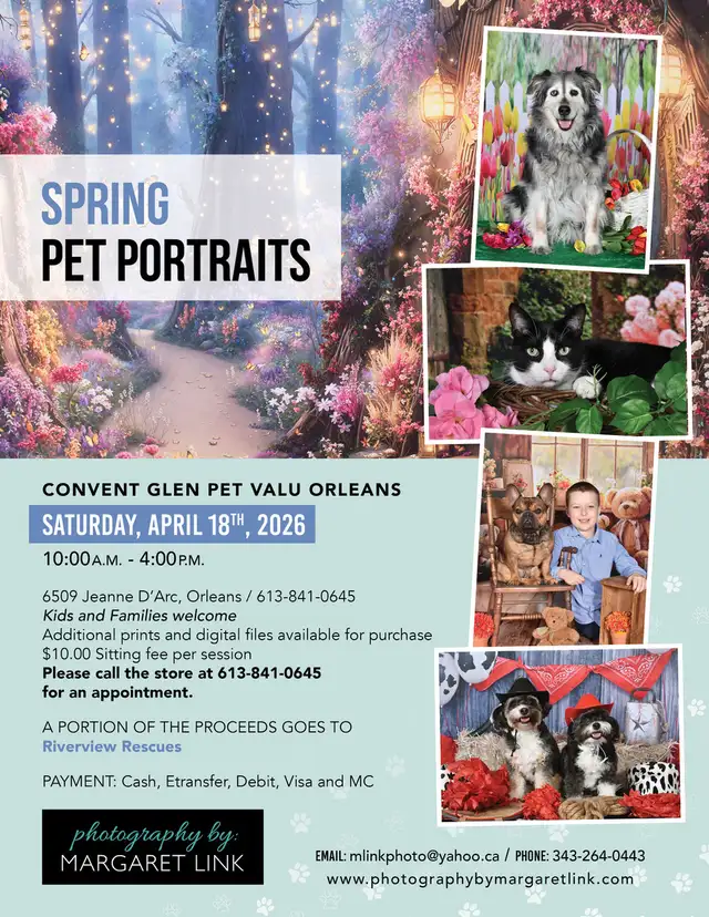 Professional Pet Portrait Day in Orleans, April 18th - Photo 3