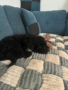 Drummer Lookiing for a Band