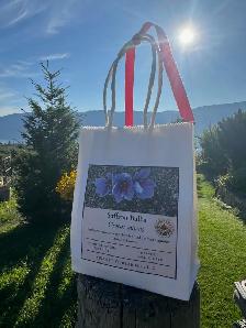 Saffron Bulbs - Pre- order for Fall 2026