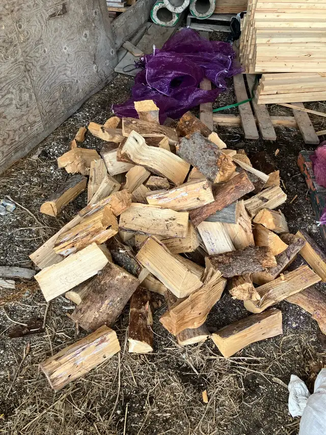 Bagged Firewood - Photo 2