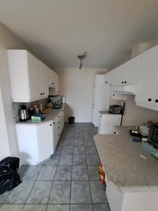 À louer - Superbes logements disponibles ! - Photo 3