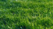 Lawn Care & Property Maintenance
