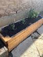 Planter Boxes & Garden
