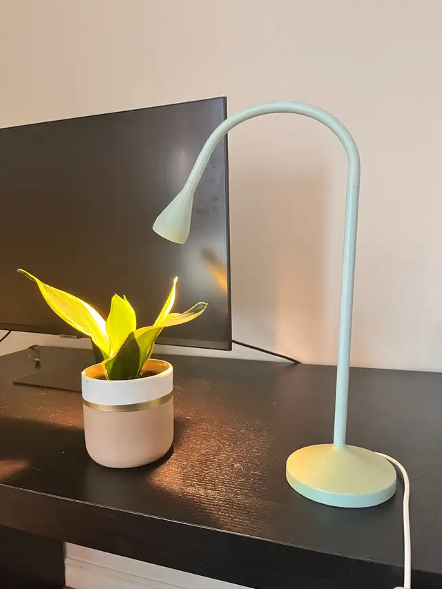 Desk lamps & floor lamps with smart bulbs - Photo 3