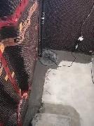 WET BASEMENT FLOOR WATERPROOFING SUMP PUMP ISSUE WEEPING TILE