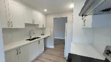 3 bedroom house in Brampton downtown - Photo 8