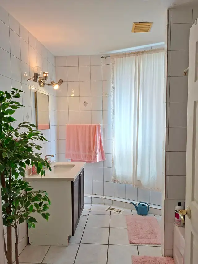 Big Nice Room for Rent - Western Downtown Toronto (Female only) - Photo 6