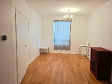Big Nice Room for Rent - Western Downtown Toronto (Female only) - Photo 7