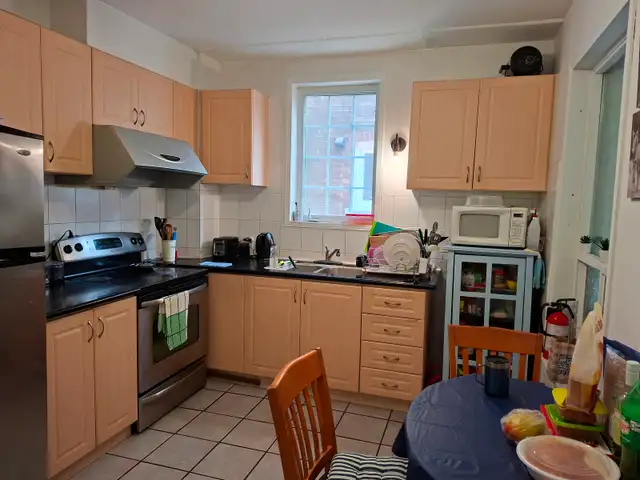 Big Nice Room for Rent - Western Downtown Toronto (Female only) - Photo 8