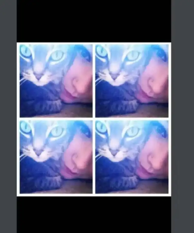 Pet Sitter/Dog Walker