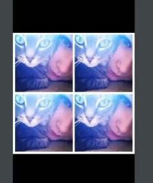 Pet Sitter/Dog Walker